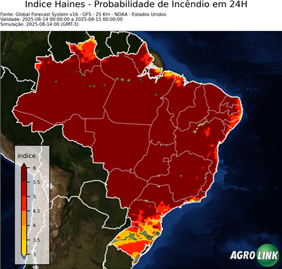 24 horas