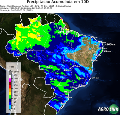 10 dias
