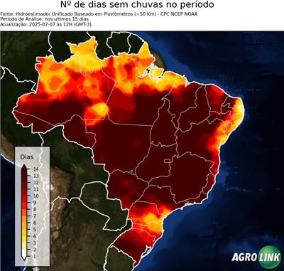 15 dias