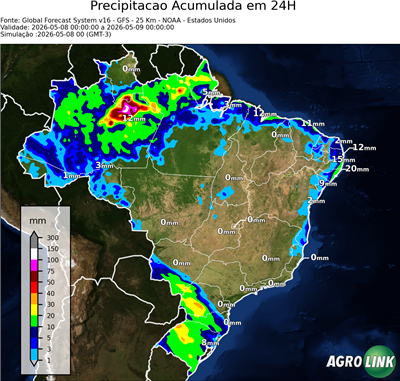 24 horas