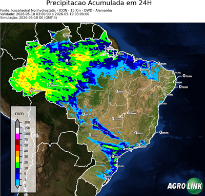 24 horas