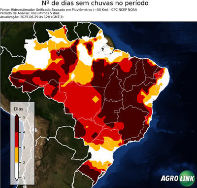 5 dias
