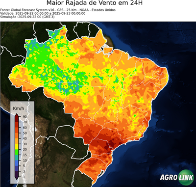 24 horas