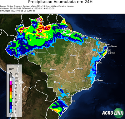24 horas