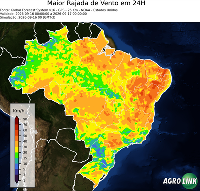 24 horas
