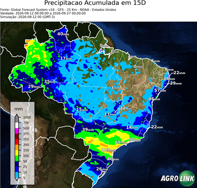 15 dias