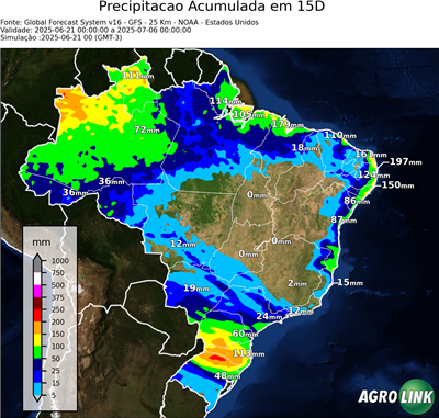 15 dias