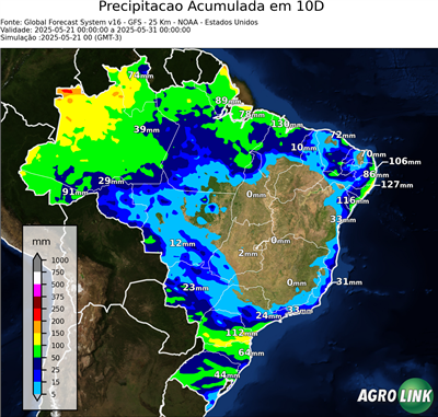 10 dias
