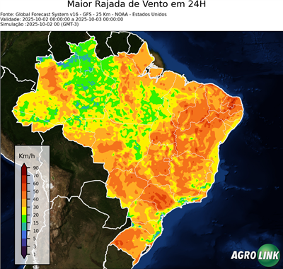 24 horas