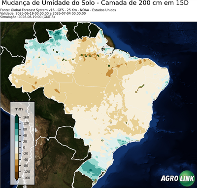15 dias