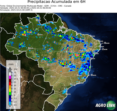 6 horas