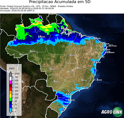 5 dias