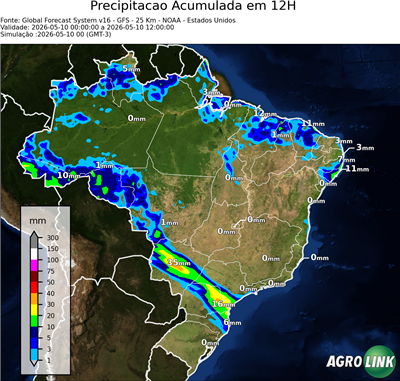 12 horas