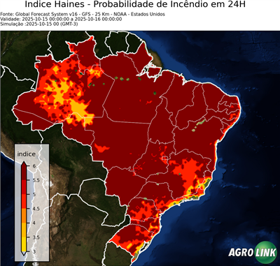 24 horas