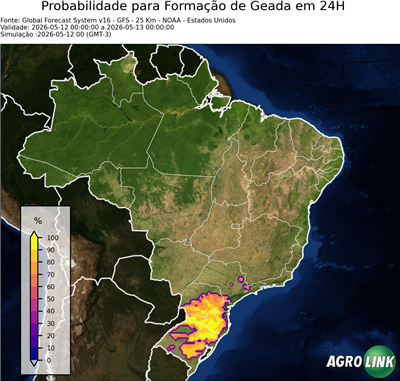 24 horas