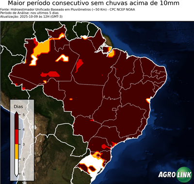 5 dias