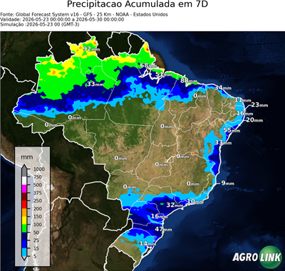 7 dias