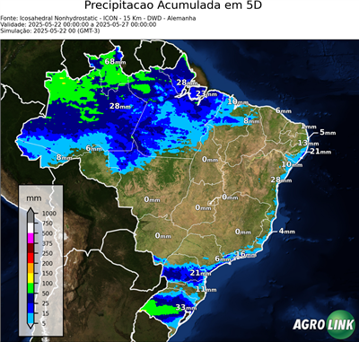 5 dias