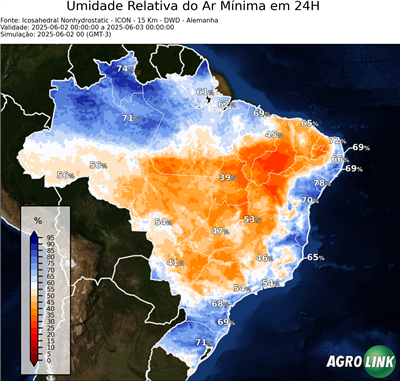 24 horas