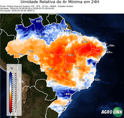 24 horas