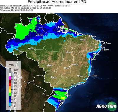 7 dias