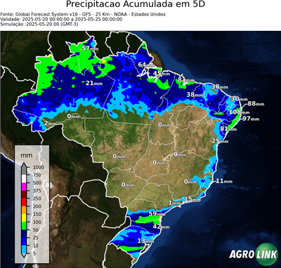 5 dias