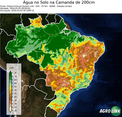 24 horas