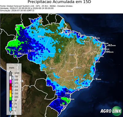 15 dias