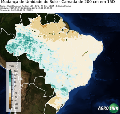 15 dias