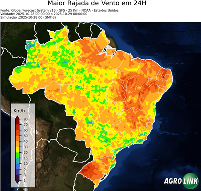 24 horas