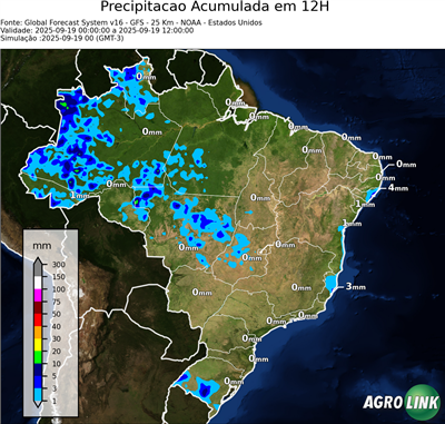 12 horas