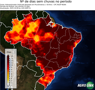 15 dias
