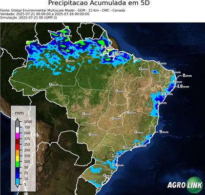 5 dias