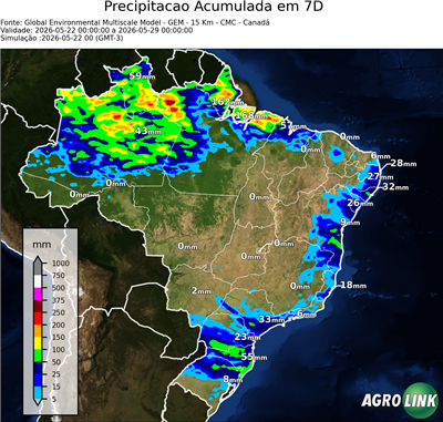 10 dias