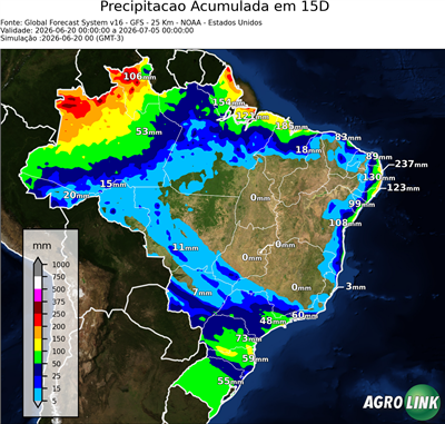 15 dias