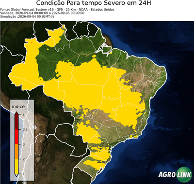 24 horas