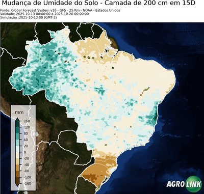 15 dias