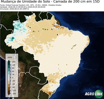 15 dias