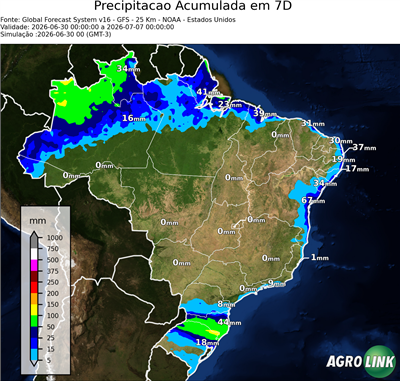 7 dias