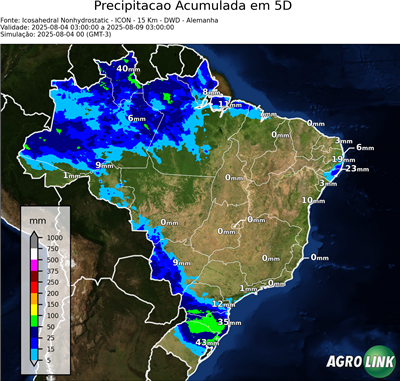 5 dias