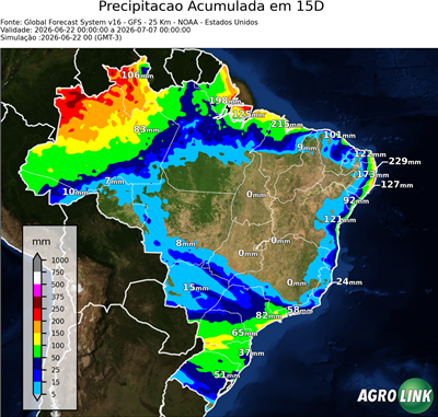 15 dias