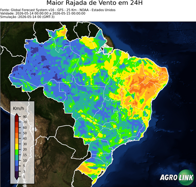 24 horas