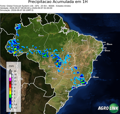 1 hora