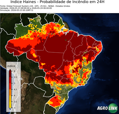 24 horas