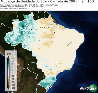 15 dias