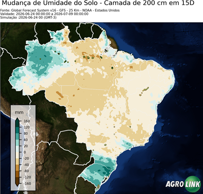 15 dias