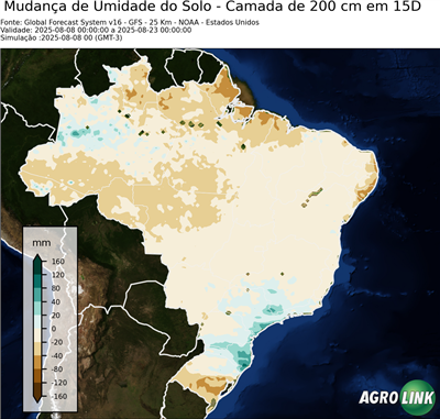 15 dias