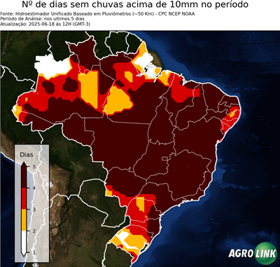 5 dias