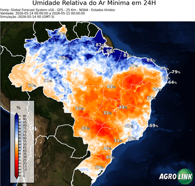 24 horas