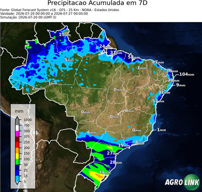 7 dias